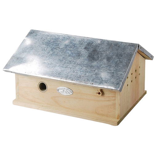 Abeille - Petite maison pour les abeilles dans votre jardin
