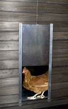 Grillage pour poulaillers - Chicksafe - Alu